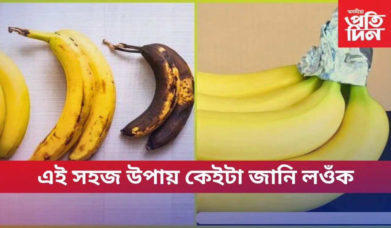 এতিয়া চিন্তা নাই ! দীৰ্ঘদিনলৈ সতেজ হৈ থাকিব কল