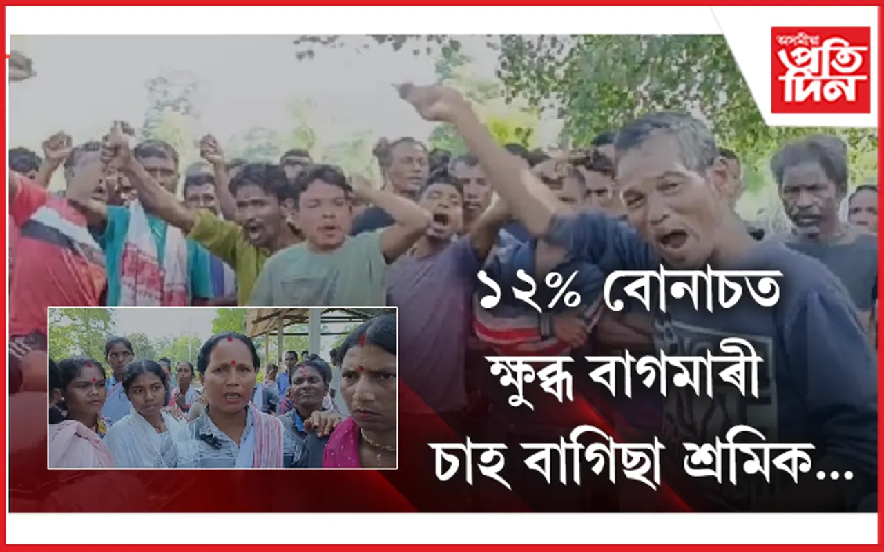 ২০% বোনাচৰ দাবীত উত্তাল বাঘমাৰী চাহ বাগিছা