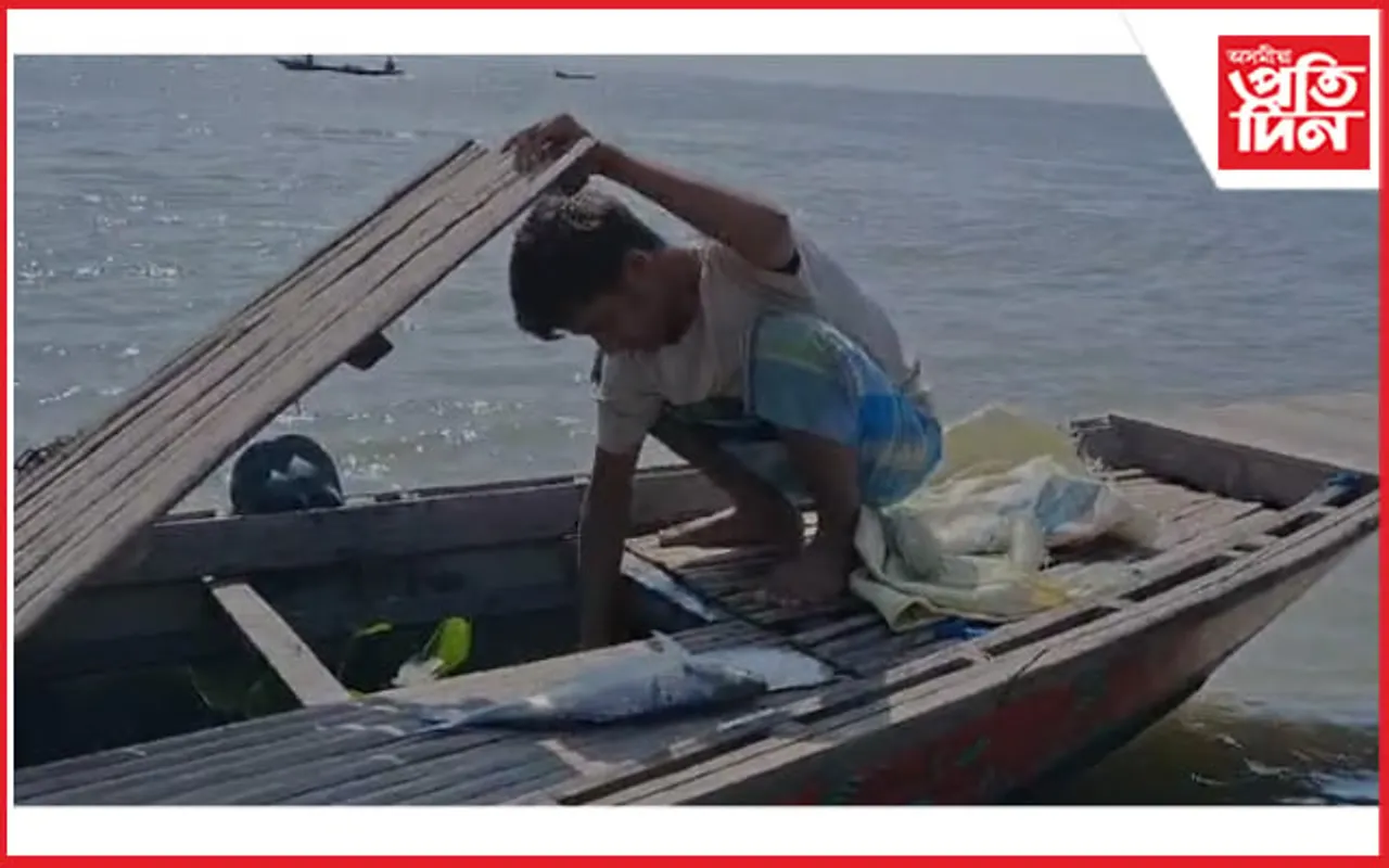 ধুবুৰীত কণীযুক্ত ইলিচ মাছ নিধনত উদ্বেগ