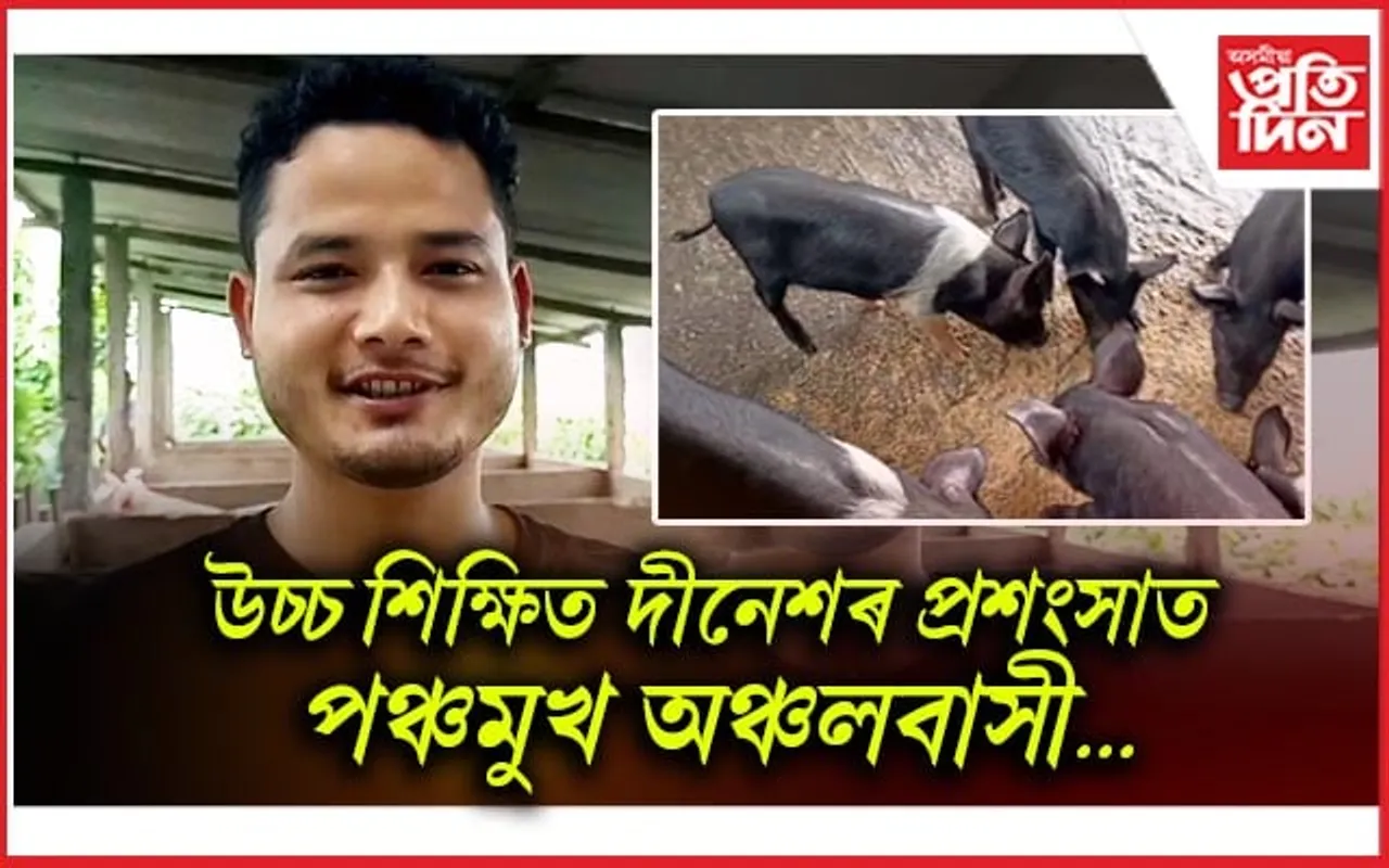 গাহৰি পালনেৰে জীৱিকাৰ পথ মোকলাইছে উচ্চ শিক্ষিত যুৱকে 