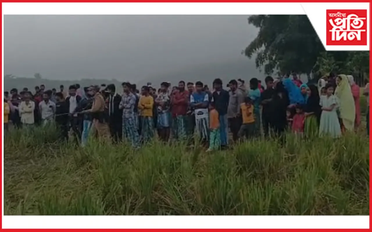 কচুৱাৰ পাহাৰতলিত বনৰীয়া হাতীৰ মৃত্যু...