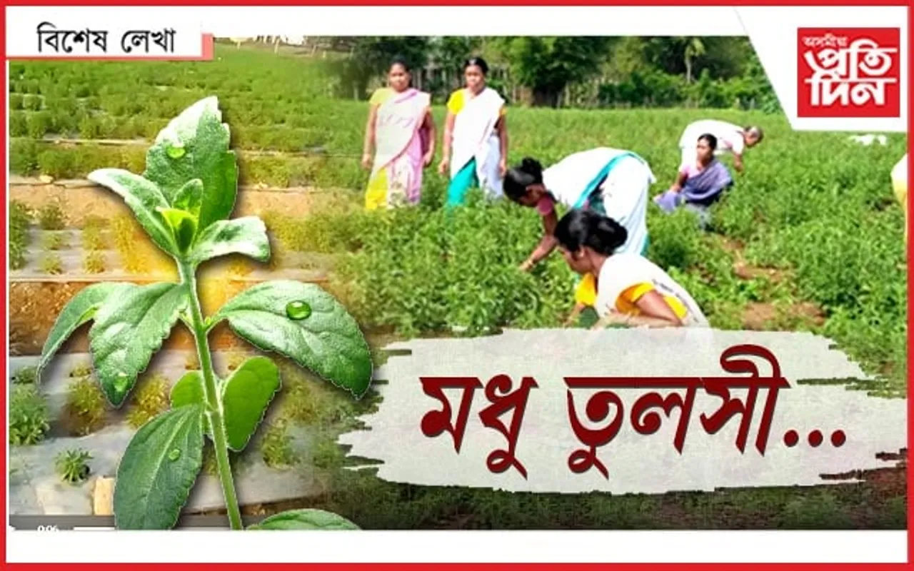 মোৰ চাহকাপত চেনি নিদিব...