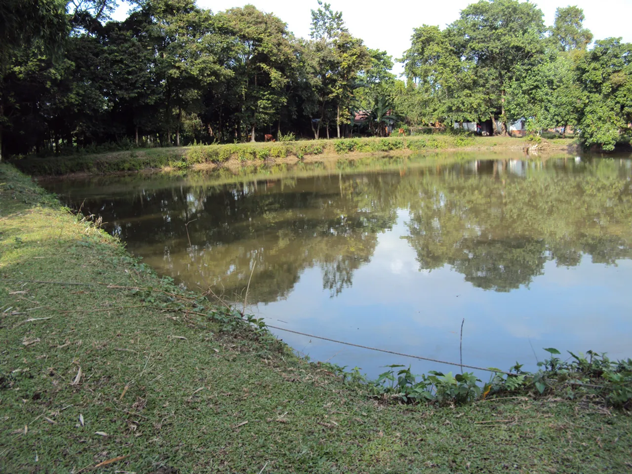 পুখুৰীত পৰি যুৱকৰ সলিল সমাধি