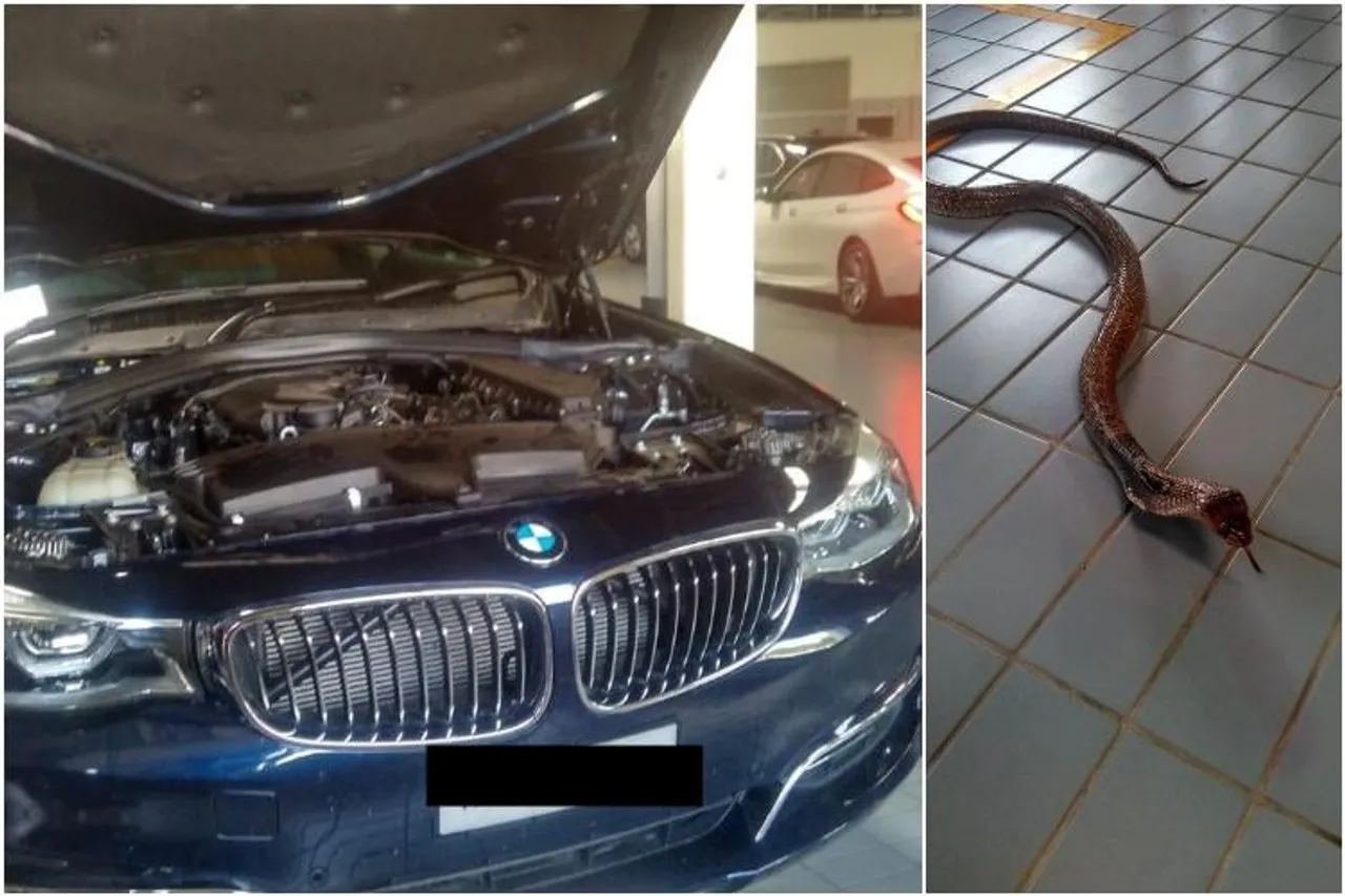 দেশজুৰি চাঞ্চল্য! চলন্ত BMWত জপিয়াই সোমাল ৰাজফেটী, VIDEO ভাইৰেল