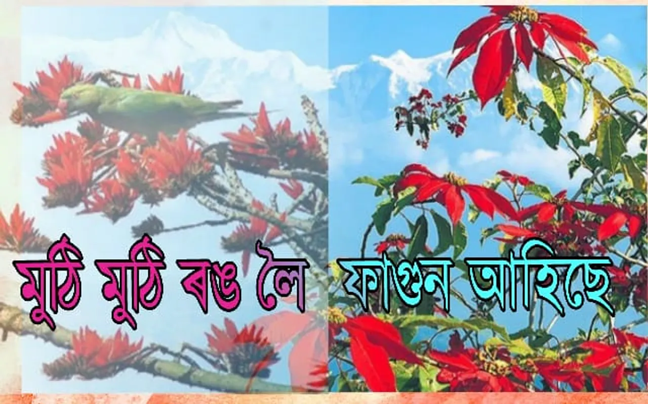 খবৰ ৰাখিছেনে, পদূলিত উতলা ফাগুন…