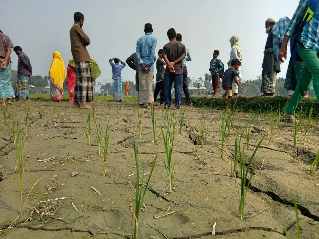 ছয়গাঁও-বকোত শ শ বিঘা ধান খেতিৰ পথাৰত ছিৰাল ফাঁট…