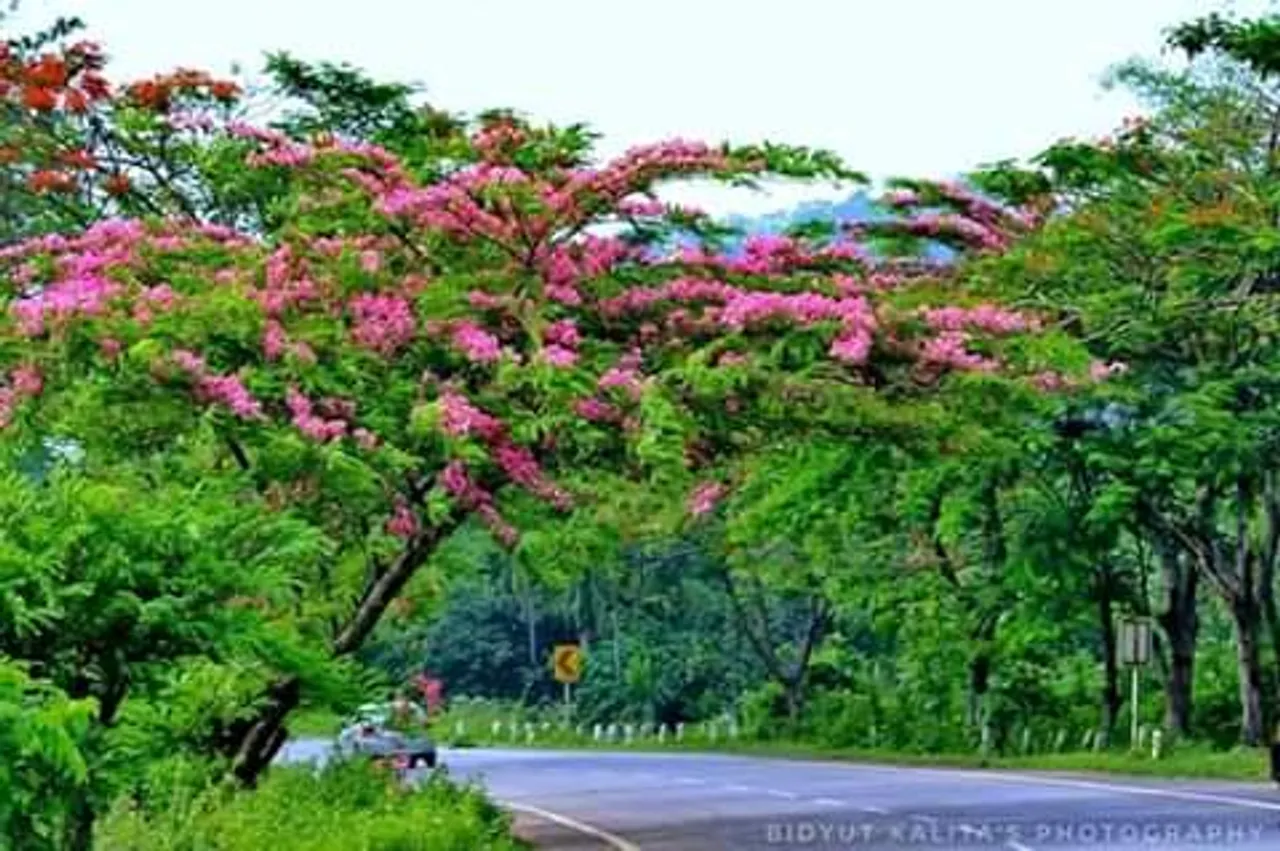 গোৱালপাৰাতেই ছুইজাৰলেণ্ড! ক’ত আছে এই মনোৰম ঠাই…