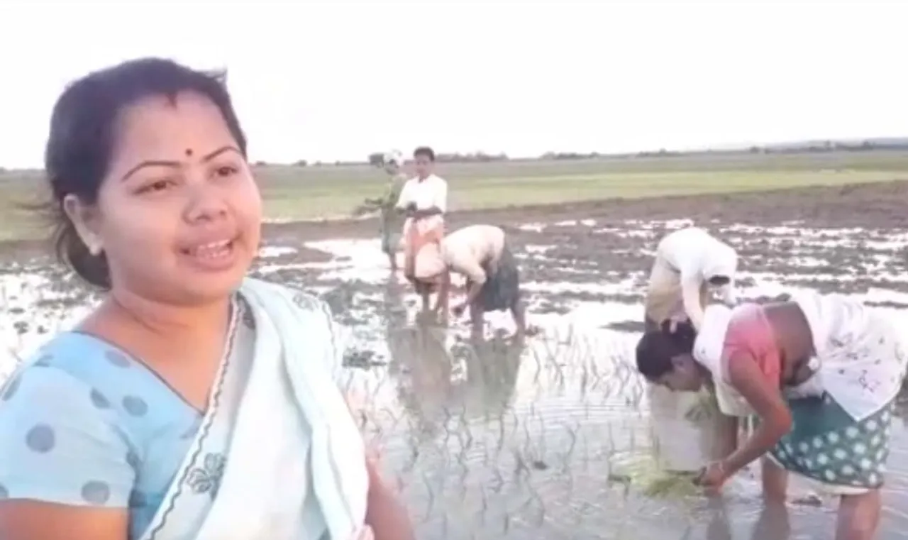বানপানীৰ ভয়াৱহতা পাহৰি কামপুৰৰ চাংচকী পথাৰত এজাক মহিলা, VIDEO…