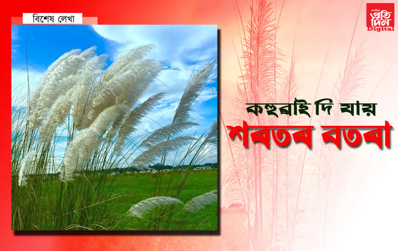 সৌ পথাৰৰ কহুৱা ফুল নীল আকাশত কোনে সজালে…