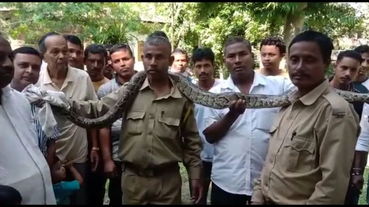 ঢকুৱাখনাত অজগৰৰ সৈতে চেল্ফি, VIDEO