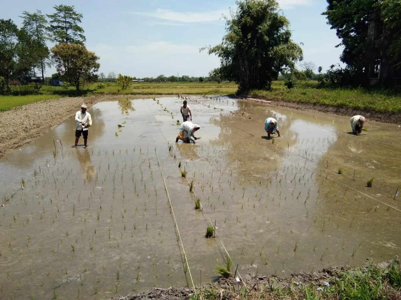 লখিমপুৰ আঞ্চলিক কৃষি গৱেষণা কেন্দ্ৰৰ অভিনৱ পদক্ষেপ…