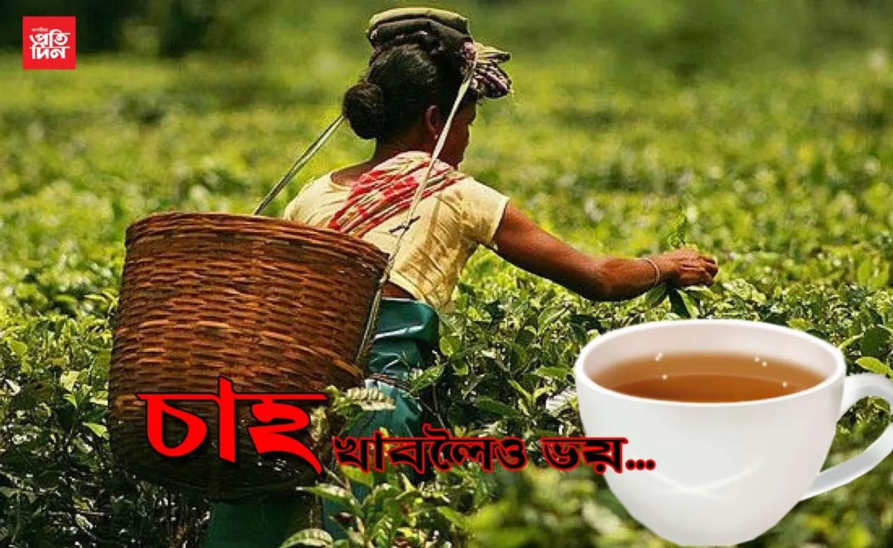 কোৰোনাৰ ভয়, চাহ একাপ খাওঁক বুলি গৃহস্থই নকয়ঃ লকডাউনত চাহপাত বিক্ৰী কমিল ৩০ শতাংশ…