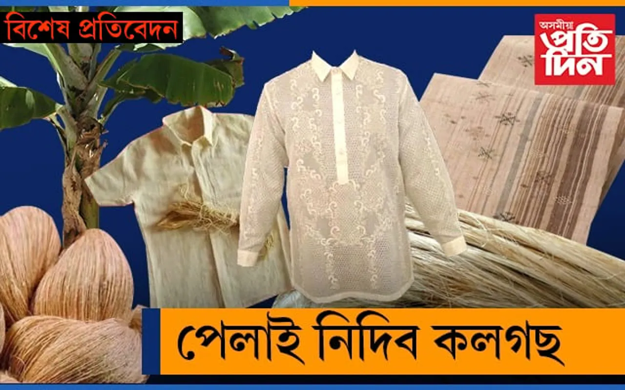 অপেক্ষা কৰকঃ এজোপা ভীম কলৰ গছৰ পৰা পাব ১৫ হাজাৰ টকা…