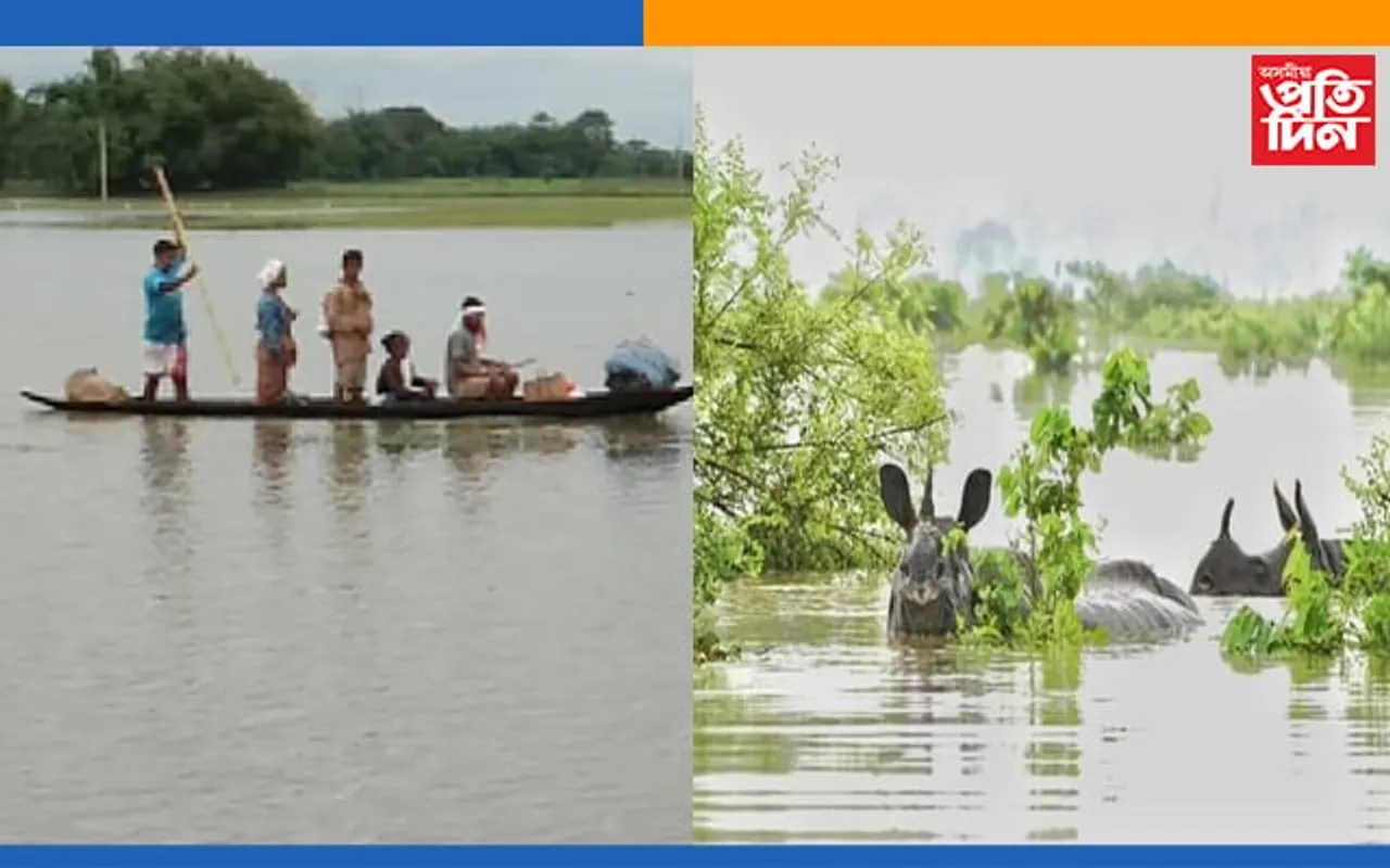 ব্ৰহ্মপুত্ৰৰ বাঢ়নী পানীত বুৰ গ’ল কাজিৰঙাৰ ৩২টা বনশিবিৰ, জাৰি ১৪৪ ধাৰা, শংকিত হৈ পৰিছে নৈপৰীয়া ৰাইজ…