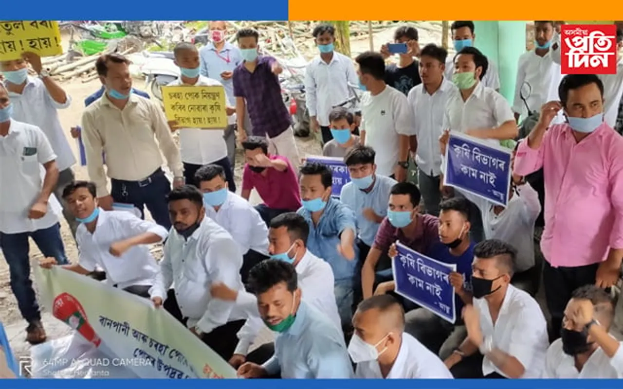 বানৰ পাছত চৰহা পোকে নষ্ট কৰিছে কৃষিভূমিঃ মূৰে-কপালে হাত দিছে কৃষক ৰাইজে, প্ৰতিবাদত নামিছে ছাত্ৰ সন্থা…