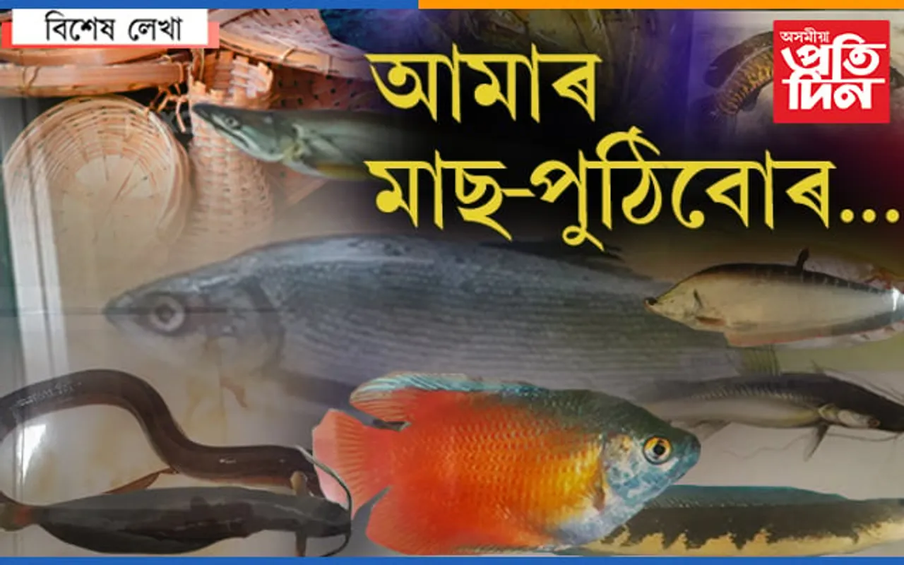 ক’ৰ সংগ্ৰহালয়ত আছে অসমৰ থলুৱা মাছ…