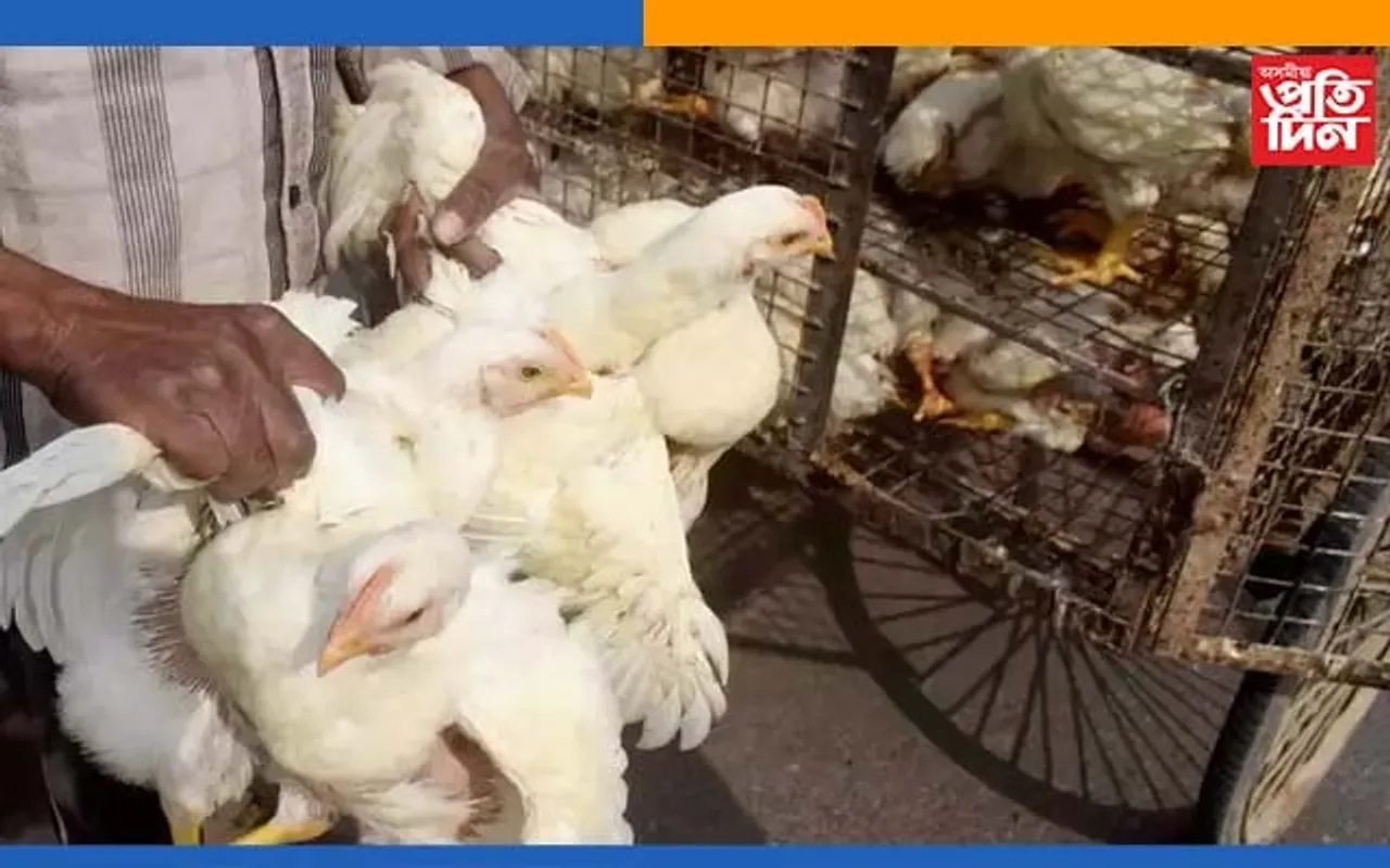 মাঘ বিহুৰ প্ৰাকক্ষণত দেশত বাৰ্ড ফ্লুৰ সংহাৰী ৰূপ, ৰাজ্য চৰকাৰৰ বিশেষ নিষেধাজ্ঞা…