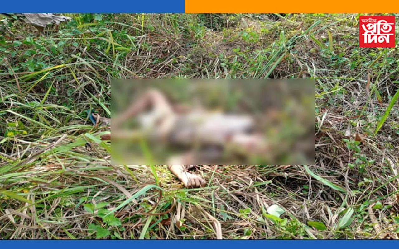 বকোত গেলামাল দোকানীক হত্যা : তিনিজনক গ্ৰেপ্তাৰ…