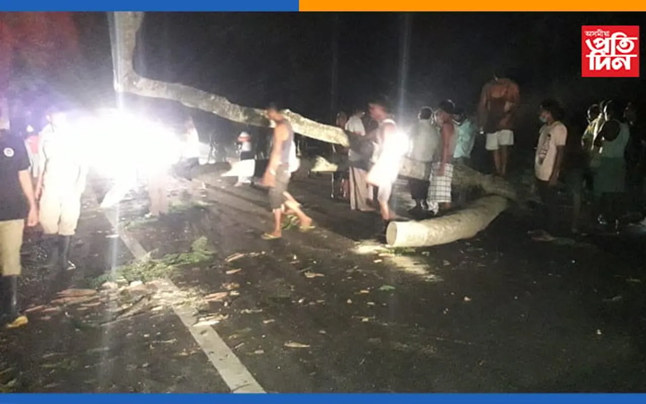 বাইহাটা চাৰিআলী আৰক্ষী থানাৰ সমীপত বাগৰি পৰিল প্ৰকাণ্ড গছ, সৃষ্টি তীব্ৰ যান-জঁট…
