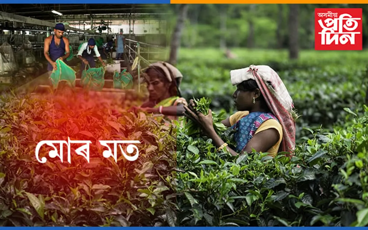 অসমৰ চাহ বাগিছা ৰ সমস্যা আৰু ইয়াৰ সমাধানৰ কিবা উপায় আছেনে?