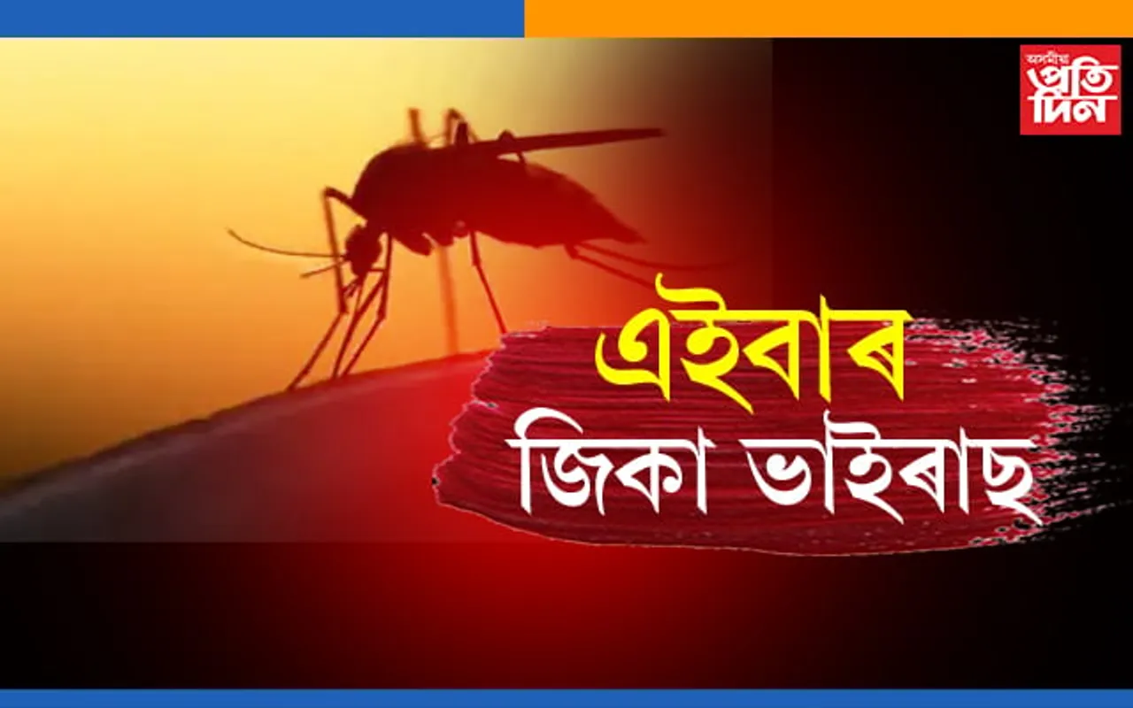 কোৰোনা নহয়! এইবাৰ আহিছে জিকা ভাইৰাছ…