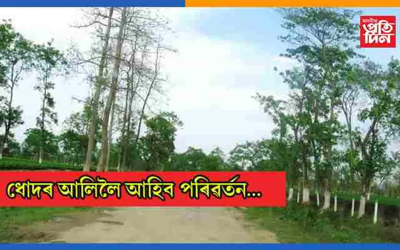 চাৰিলেন যুক্ত হ’ব ঐতিহাসিক ধোদৰ আলি..