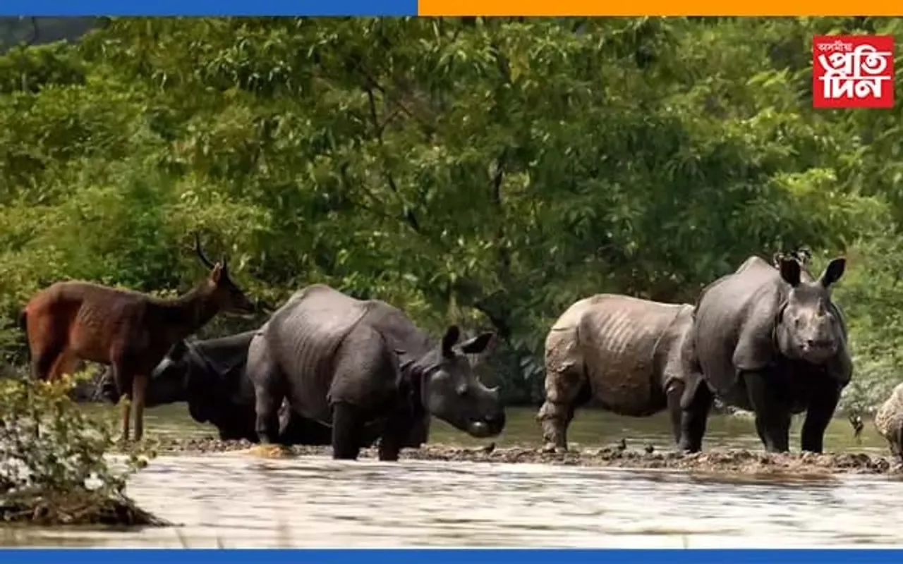 কাজিৰঙাত বানঃ কোন পথেৰে চলাচল কৰিব পাৰিব গধূৰ বাহনসমূহ… পঢ়ক সবিশেষ