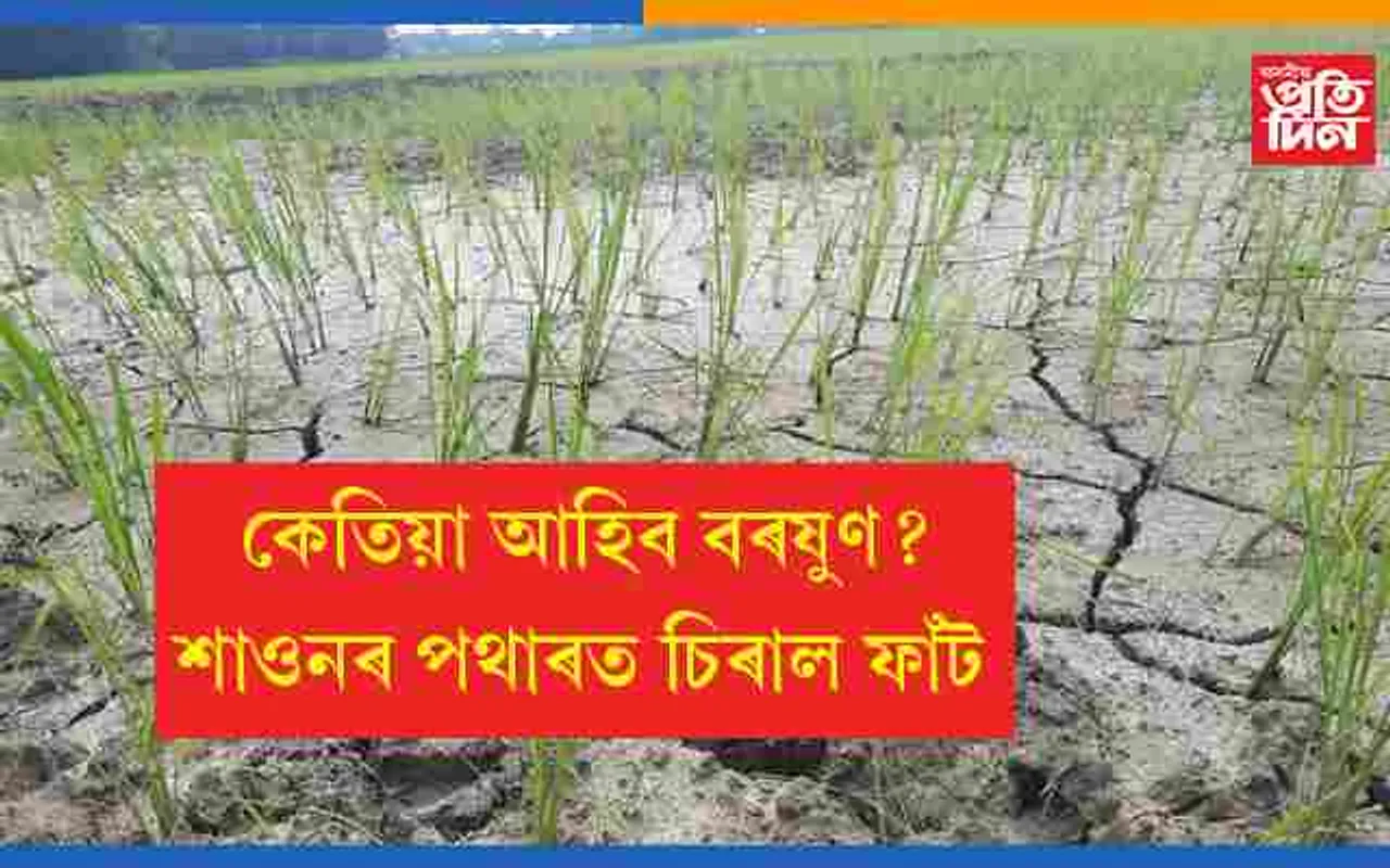 প্ৰকৃতিৰ ৰুদ্ৰ ৰূপঃ শাওনৰ পথাৰত মেলিছে ফাঁট..