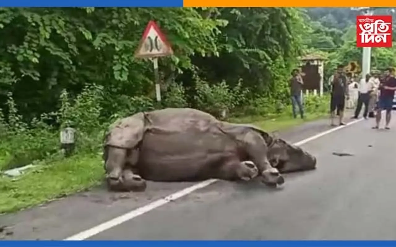 কাজিৰঙাত অঘটন: তীব্ৰ বেগী বাহনে খুন্দিয়ালে গঁড়…