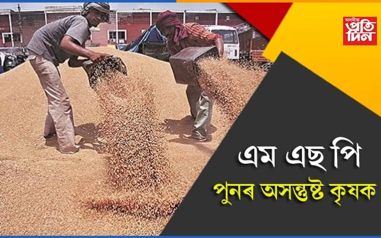 ঘেঁহুৰ এম এছ পিকলৈ অসন্তুষ্ট কৃষকঃ কৃষি আইন বাতিলৰ বাবে কৰা সংগ্ৰামৰ বিৰুদ্ধে প্ৰতিশোধ লৈছে চৰকাৰে!