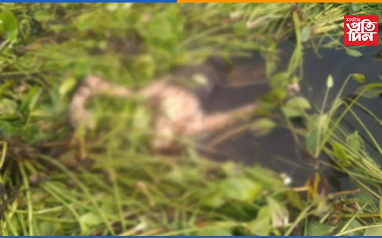 বটদ্ৰৱাৰ গৰৈমাৰীত মৃতদেহ উদ্ধাৰ…