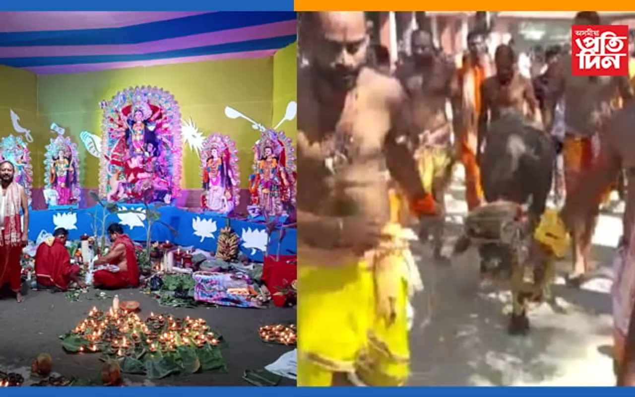 বিল্বেশ্বৰত নহ’ল ৰাজহুৱা বলিঃ নলবাৰীৰ ভিন্ন প্ৰান্তত উখল-মাখল পৰিবেশ…