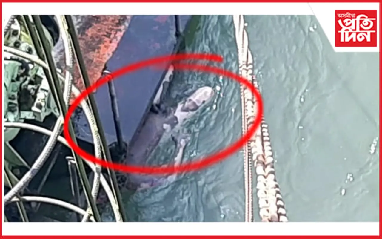 চম্পাৱতী নৈৰ দলঙৰ তলত নগ্ন অৱস্থাত উদ্ধাৰ মৃতদেহ…