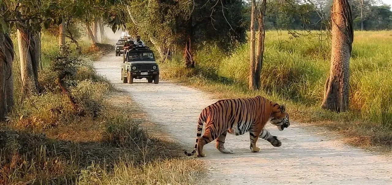 ১৯৮১ চনৰ পাছত দ্বিতীয় বাৰলৈ কাজিৰঙা ভ্ৰমণ কৰিব ভাৰতৰ ৰাষ্ট্ৰপতিয়ে