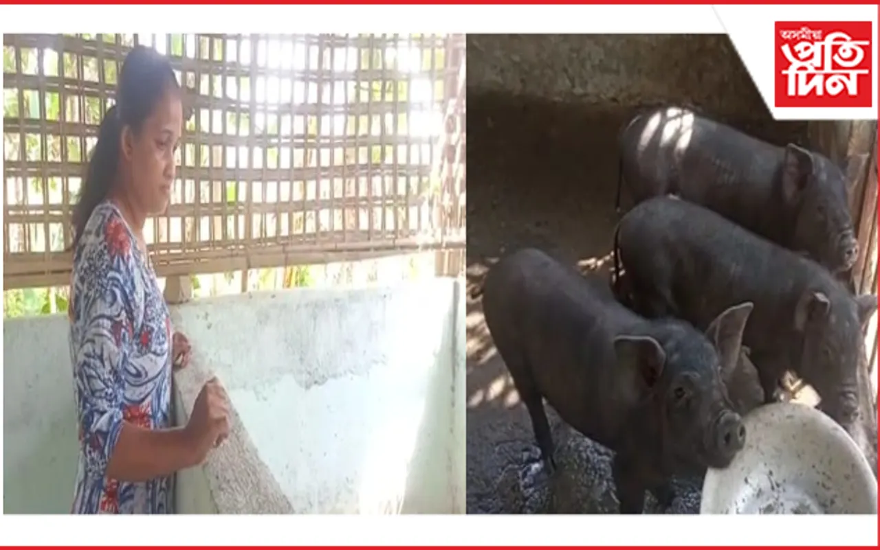 স্বাৱলম্বীতাৰ ব্যতিক্ৰমী দৃষ্টান্তৰে বহুতৰ বাবে প্ৰেৰণাৰ উৎস আৰতী …