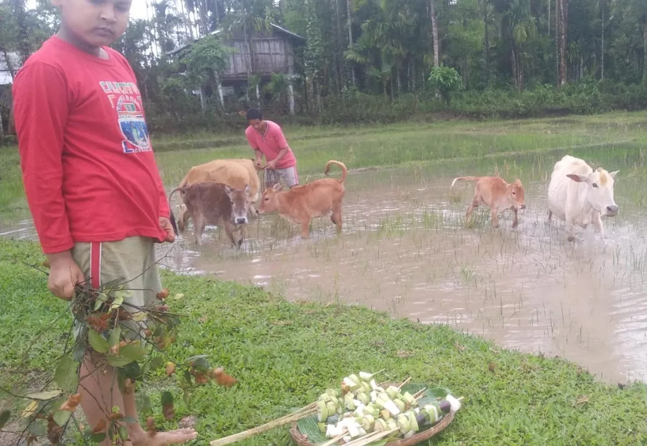 চৰাইদেউ মথুৰাপুৰত গৰু বিহু উদযাপন,উখল-মাখল পৰিবেশ…