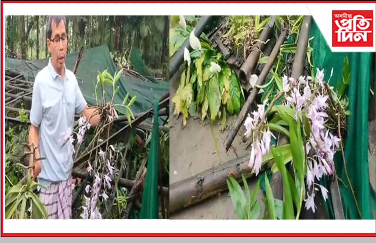 চিৰাঙত বৰদৈচিলাৰ তাণ্ডৱ, বিধ্বস্ত প্ৰায় ২০০ প্ৰজাতিৰ অৰ্কিডৰ এখন সংগ্ৰহালয়