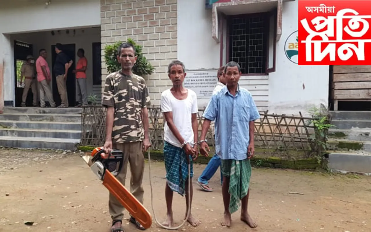 সেউজ বনাঞ্চল ধ্বংসকাৰী দুজনক গ্ৰেপ্তাৰ