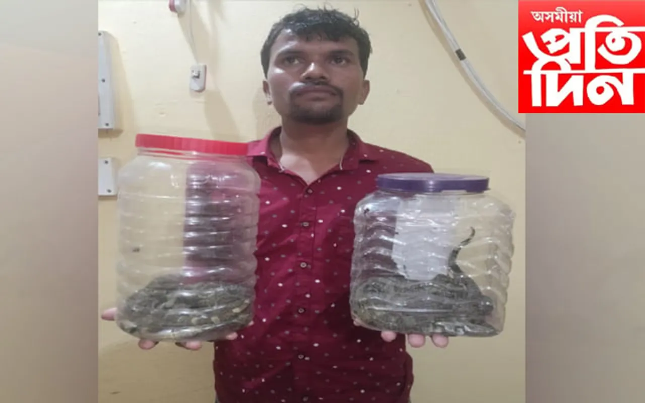 কেকো সাপ সহ এজনক গ্ৰেপ্তাৰ
