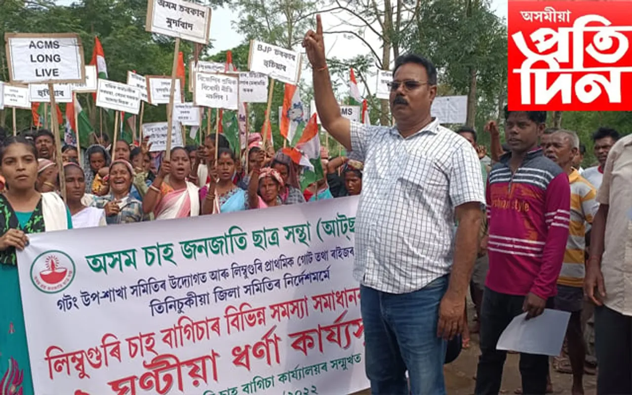 শ্ৰম মন্ত্ৰী সঞ্জয় কিষাণ মুৰ্দাবাদ ধ্বনিৰে উত্তাল তিনিচুকীয়াৰ লিম্বুগুৰি চাহ বাগিছা