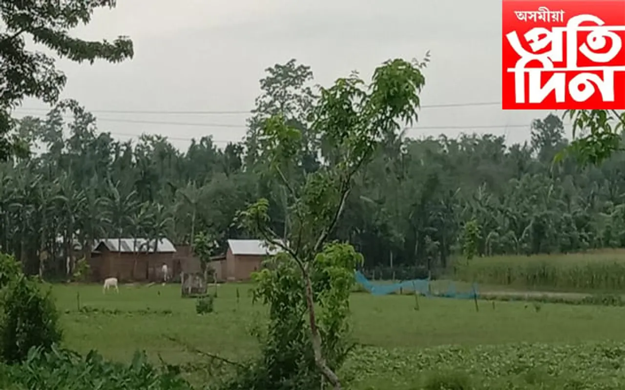 সংকটত নৰোৱা বালিসত্ৰঃ বেদখলকাৰীৰ কবলত ৫০০ শ বিঘা ভূমি…