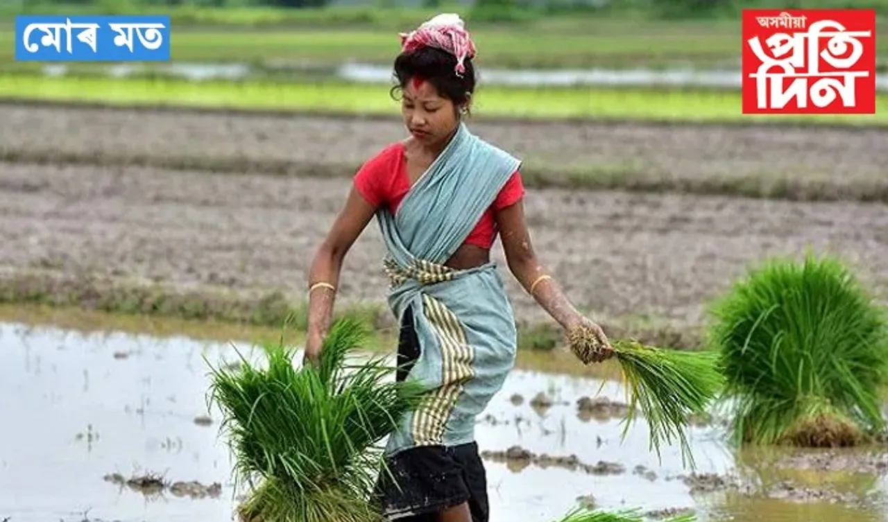 আহাৰৰ ভৰণ পথাৰত কৃষকৰ জীৱন চৰ্যা…