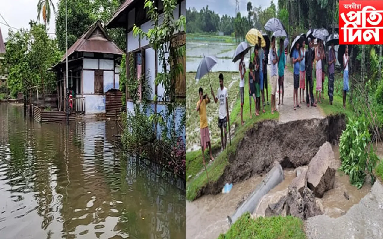 চিৰাঙৰ চিদলী ৰাজহচক্ৰৰ এলেকাত বানৰ তাণ্ডৱ…