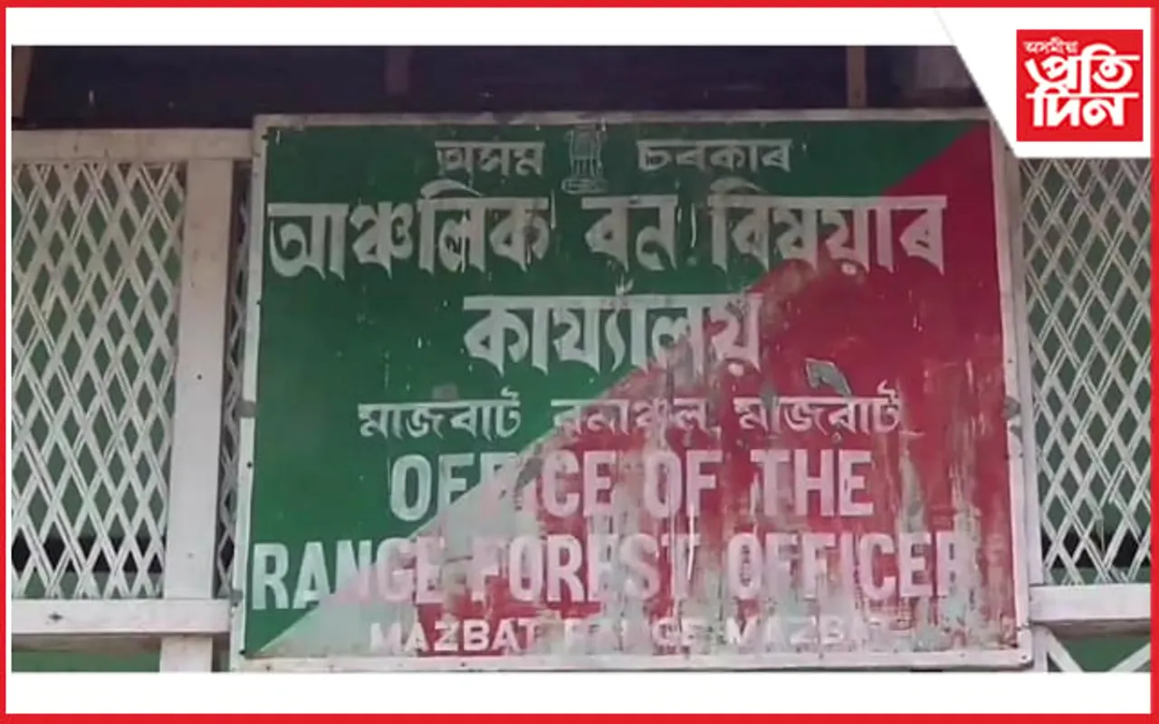 মাজবাটত মৃত হাতী পোৱালীসহ, এটা মৃত হৰিনা উদ্ধাৰ