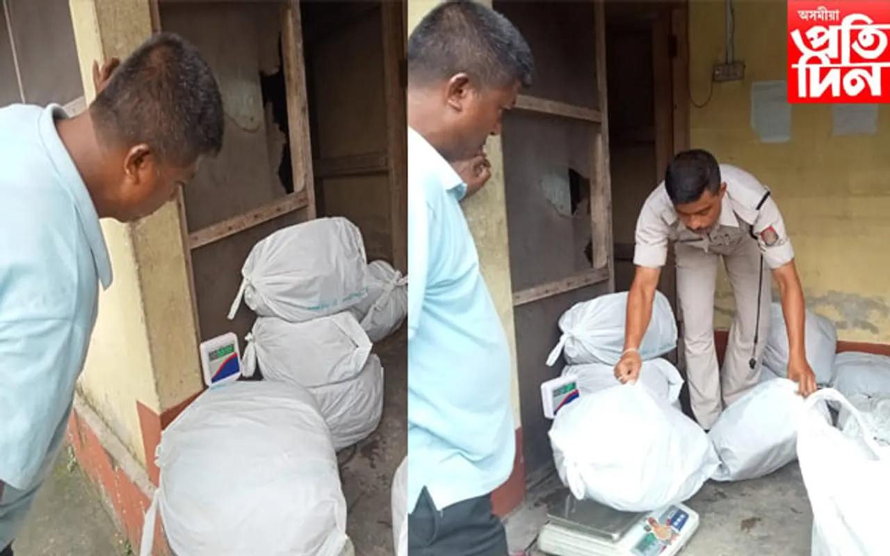 ওৰাং আৰক্ষীয়ে অভিযান চলাই জব্দ কৰিলে প্ৰায় ৭৭ কিলো. গাঞ্জা…