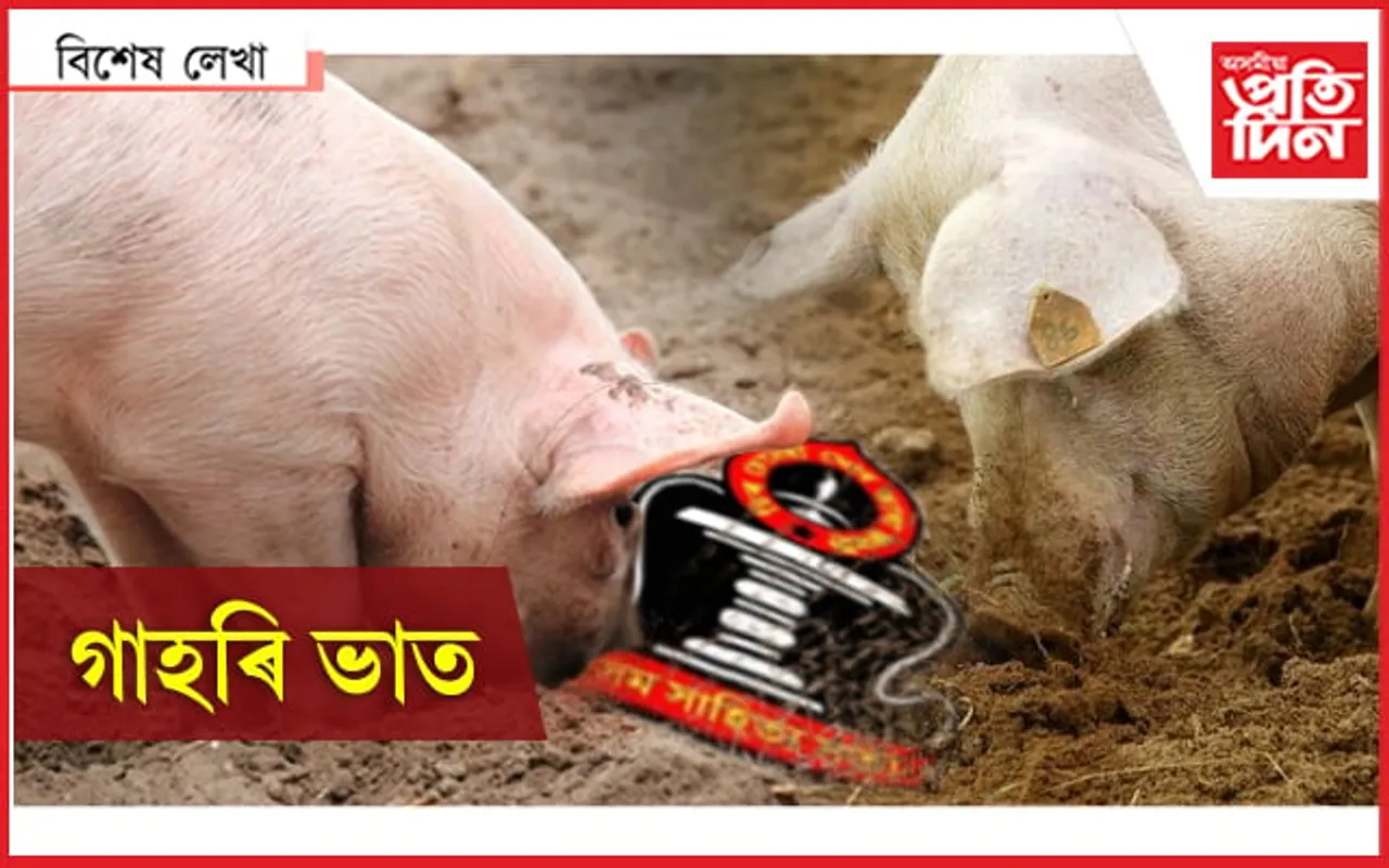 সাহিত্য সভাতেই আছে গাহৰি !
