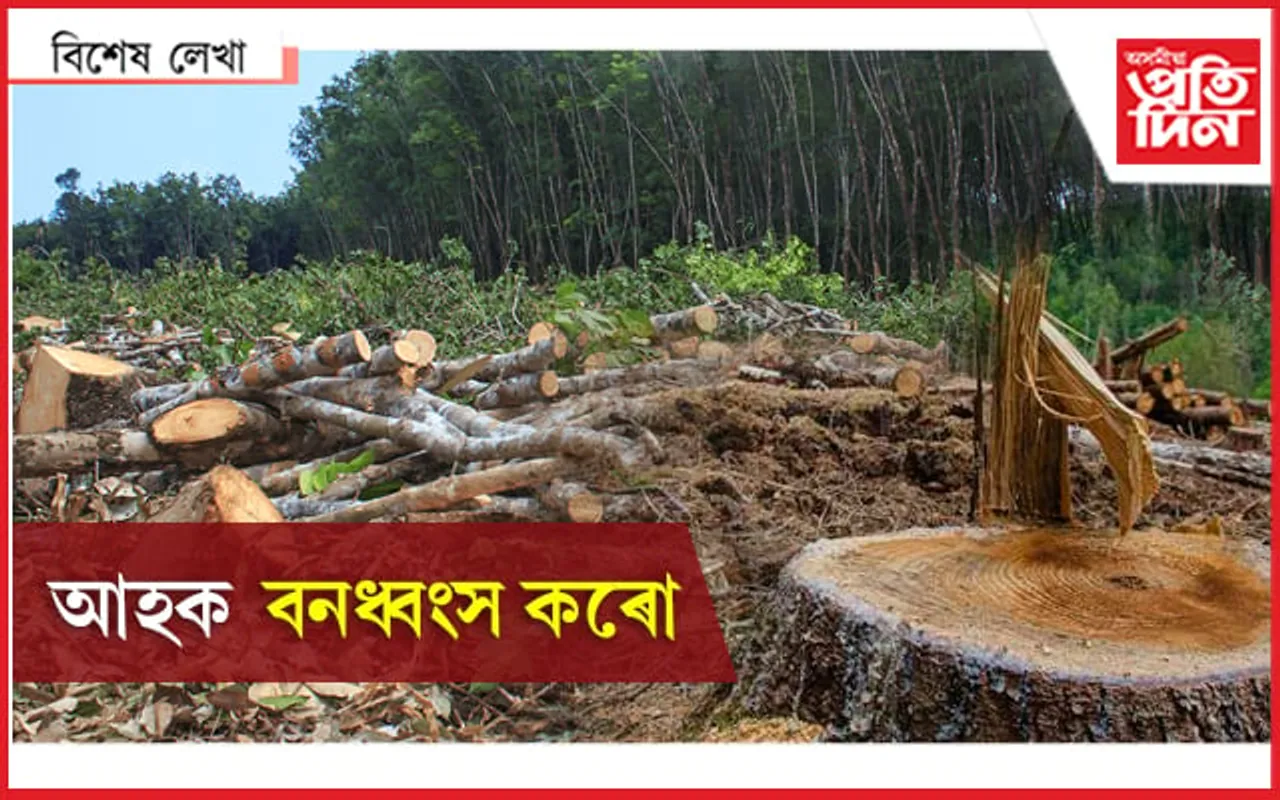 নতুন বন নীতিঃ ইচ্ছা কৰিলেই চৰকাৰে কৰিব পাৰিব বন ধ্বংস…