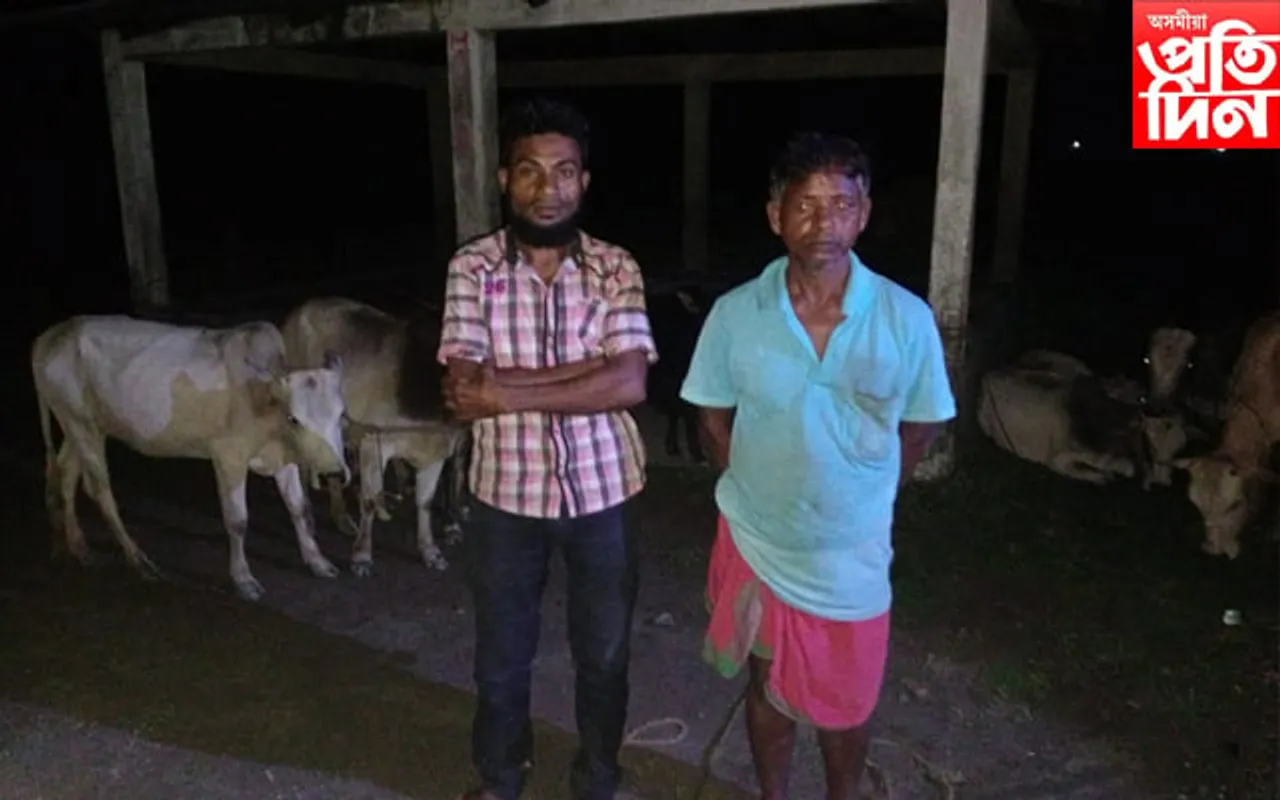 চোৰাং গৰু সহিতে আটক দুই…