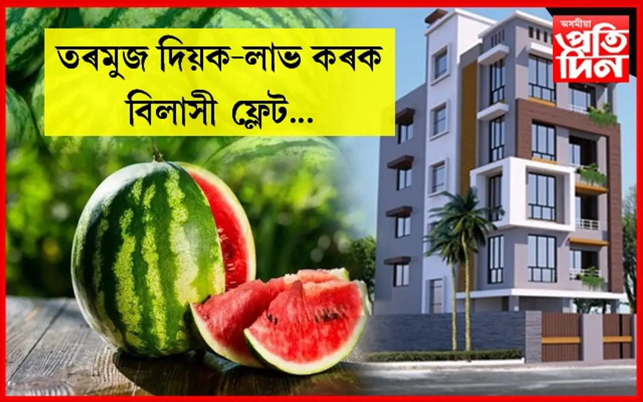 ধন নালাগে! তৰমুজৰ বিনিময়ত লাভ কৰিব বিলাসী ফ্লেট…