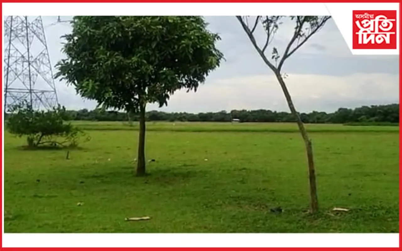 আম, ৰাধাচূড়া আৰু নেমুৰ সৈতে ৫ জোপা গছৰ মূল্য ৫ লাখ টকা ! চৰকাৰী আঁচনিৰ বিধ্বস্ত ৰূপ…